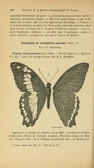 Description de cette image, également commentée ci-après