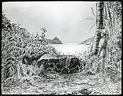 Dessin par l'expédition Mana, entre 1921 et 1923.