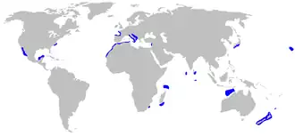 Description de l'image Odontaspis_ferox_distmap.png.