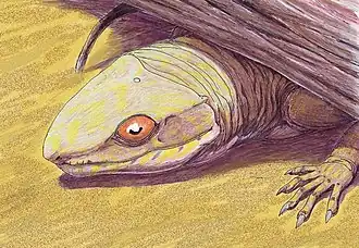 Description de cette image, également commentée ci-après