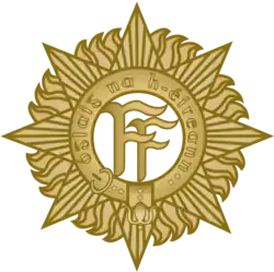 Insigne de l'armée irlandaise