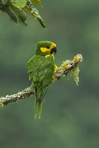 Description de cette image, également commentée ci-après