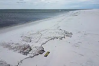 Pollution sur Perdido Key après l'ouragan Sally, 2020