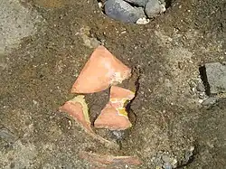 Restes de poterie pris dans le grès de plage en Petite-Terre.