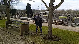 Détourage des végétaux.