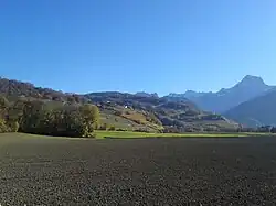 Cultures en plaine, vignobles et forêt sur les coteaux.