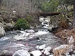 Pont sur la Tartagine à Olmi-Cappella.