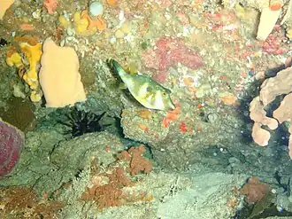 Description de cette image, également commentée ci-après