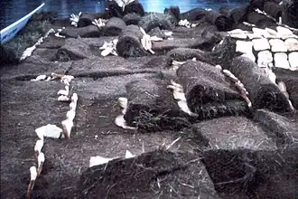 On ne souille pas la terrequi donne le pain.