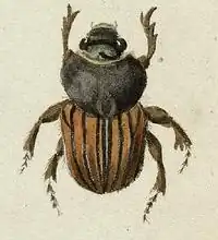 Description de cette image, également commentée ci-après