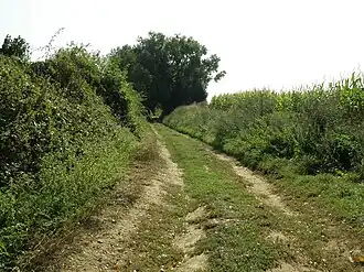 Tronçon champêtre de la « rue » de l’Abreuvoir.