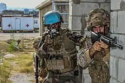 Opération Daman, Liban - Décembre 2022.