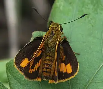 Description de cette image, également commentée ci-après