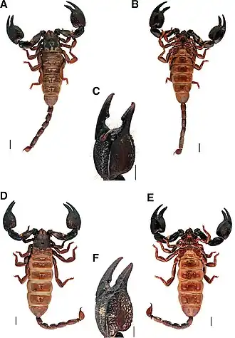 Description de cette image, également commentée ci-après
