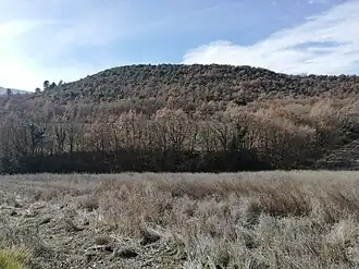 Image illustrative de l’article Oppidum de la Vache d'Or