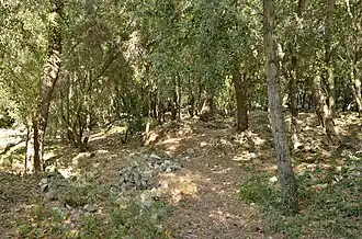 Image illustrative de l’article Oppidum des Encourdoules