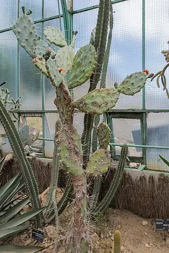 Description de cette image, également commentée ci-après