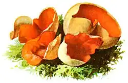 Description de cette image, également commentée ci-après