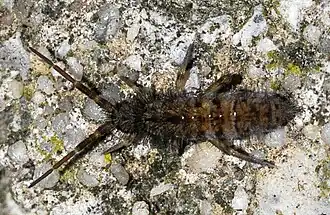 Description de cette image, également commentée ci-après