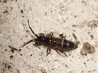 Description de cette image, également commentée ci-après