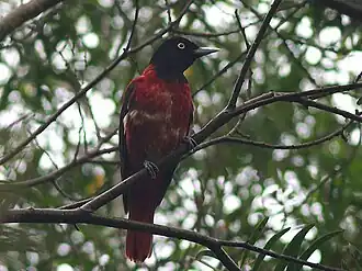 Description de cette image, également commentée ci-après