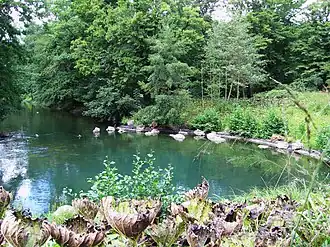 Image illustrative de l’article Parc floral de la Source