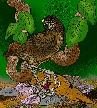 Description de cette image, également commentée ci-après