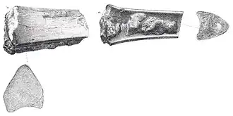 Description de cette image, également commentée ci-après