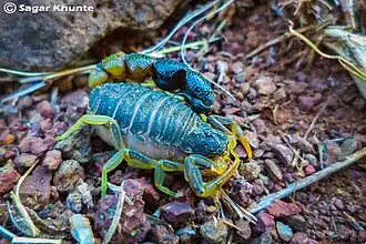 Description de cette image, également commentée ci-après