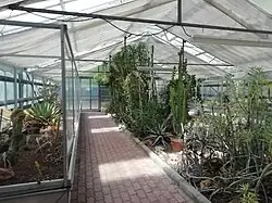 Serre Giuseppe-Lodi, pour les plantes succulentes.