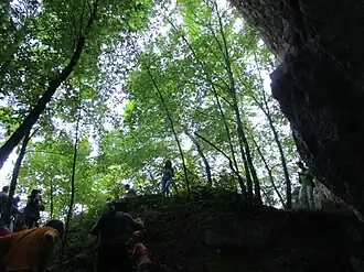 Image illustrative de l’article Grottes d'Ortucchio