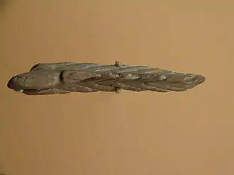 Végétal (?) sculpté en os.