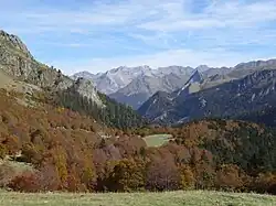 Vue sur une forêt en montagne.