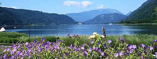 paysage