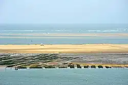 Ostréiculture sur le banc d'Arguin