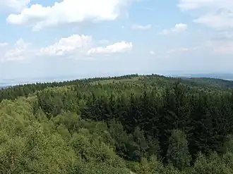 Depuis le belvédère de l'Írott-kő : la bande plus claire de bouleaux marque la frontière austro-hongroise autrefois déboisée.
