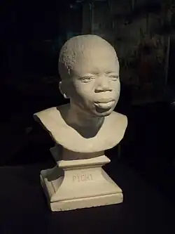 Buste, arrière-plan sombre.