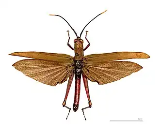 Description de cette image, également commentée ci-après