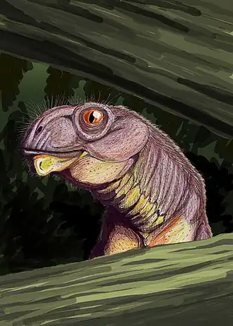 Description de cette image, également commentée ci-après