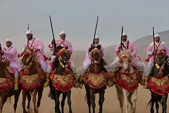 Image illustrative de l’article Cheval au Maroc