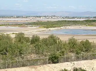 Clôture ouest. Salines sur le sol cubain