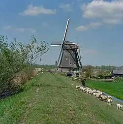 Le moulin dans son environnement.