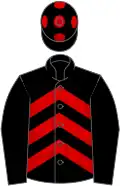 Black, Red spots, Red sleeves, Black chevrons, Black cap