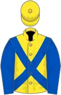 Yellow, Royal Blue cross belts and sleeves