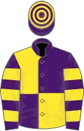 Purple and yellow (quartered), hooped sleeves and cap
