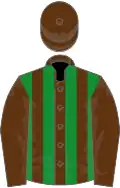 Brown and green stripes, brown sleeves and cap