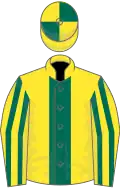 Yellow, dark green stripe, striped sleeves, quartered cap