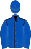 Royal blue, dark blue seams, royal blue sleeves and cap