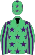 Emerald green, purple stars, striped sleeves and stars on cap