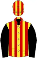 Yellow and red stripes, black sleeves